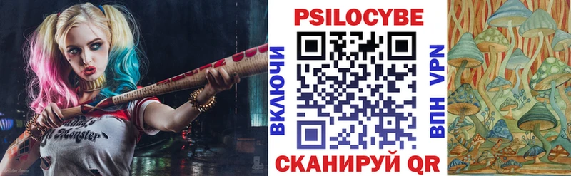 МЕГА ТОР  закладки  Канск  Галлюциногенные грибы Psilocybine cubensis 