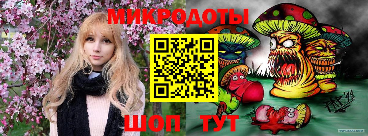 Галлюциногенные грибы GOLDEN TEACHER Канск
