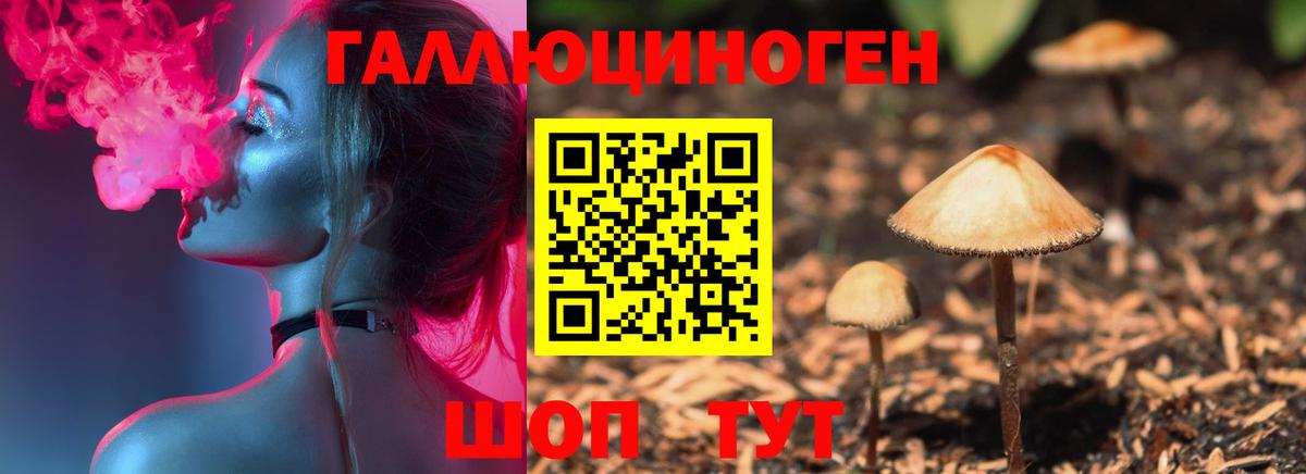 Псилоцибиновые грибы ЛСД  Вход с VPN  Галлюциногенные грибы GOLDEN TEACHER  Канск 